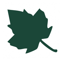 Nelson Construction logo